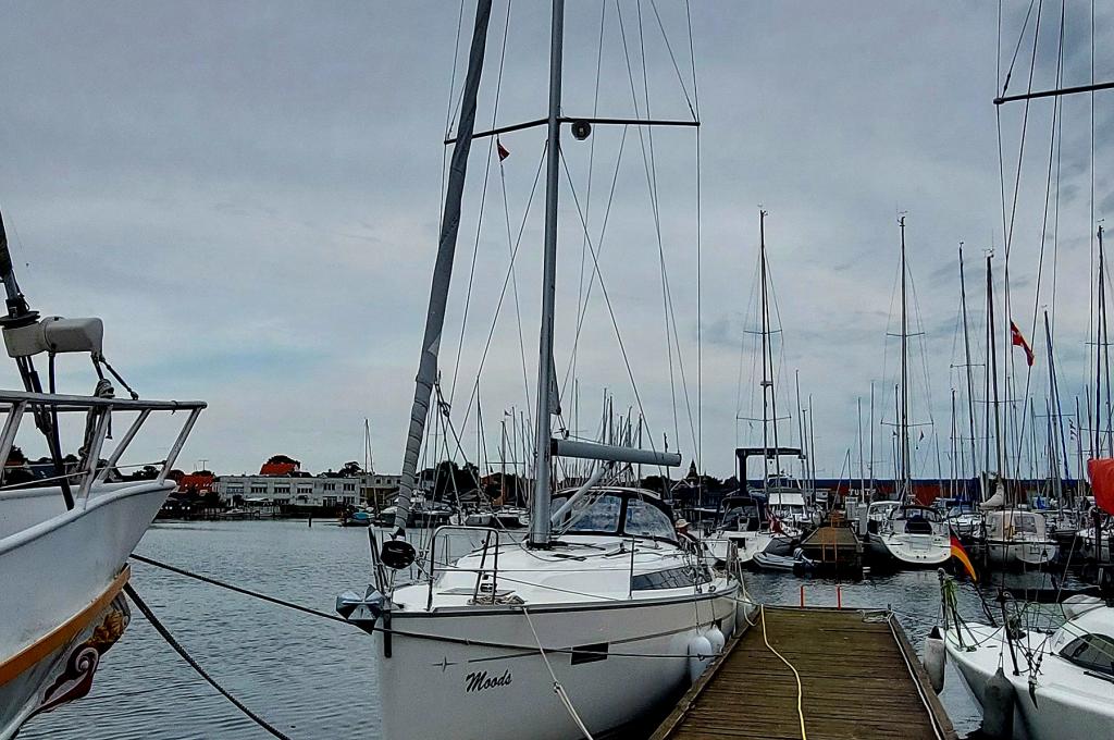 Original-Foto eines Kunden | aufgenommen am 14.08.2024 | Vercharterer hat mehrere baugleiche Yachten. Abweichungen sind möglich.